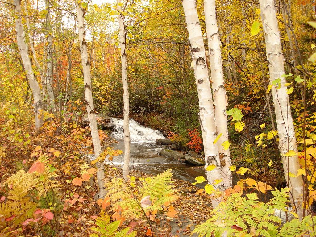 Auberge La Taniere Tadoussac Kültér fotó