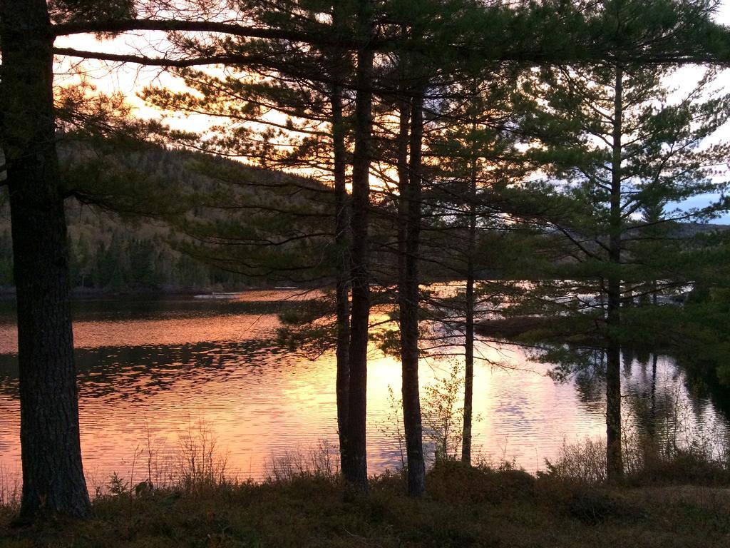 Auberge La Taniere Tadoussac Kültér fotó