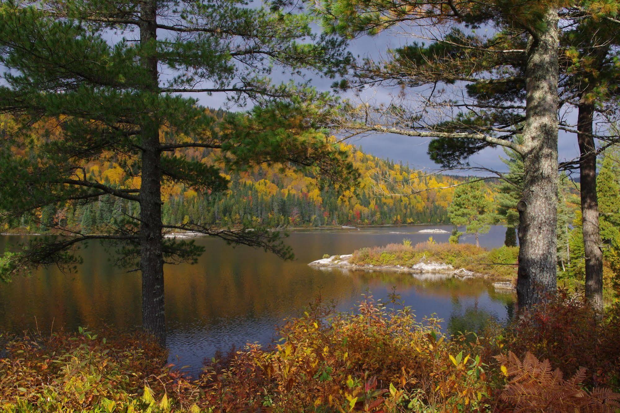 Auberge La Taniere Tadoussac Kültér fotó